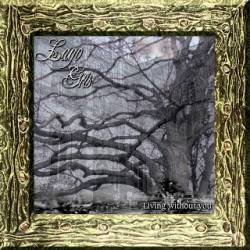 Lago Gris : Invierno